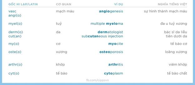 Bí quyết nắm vững thuật ngữ y khoa